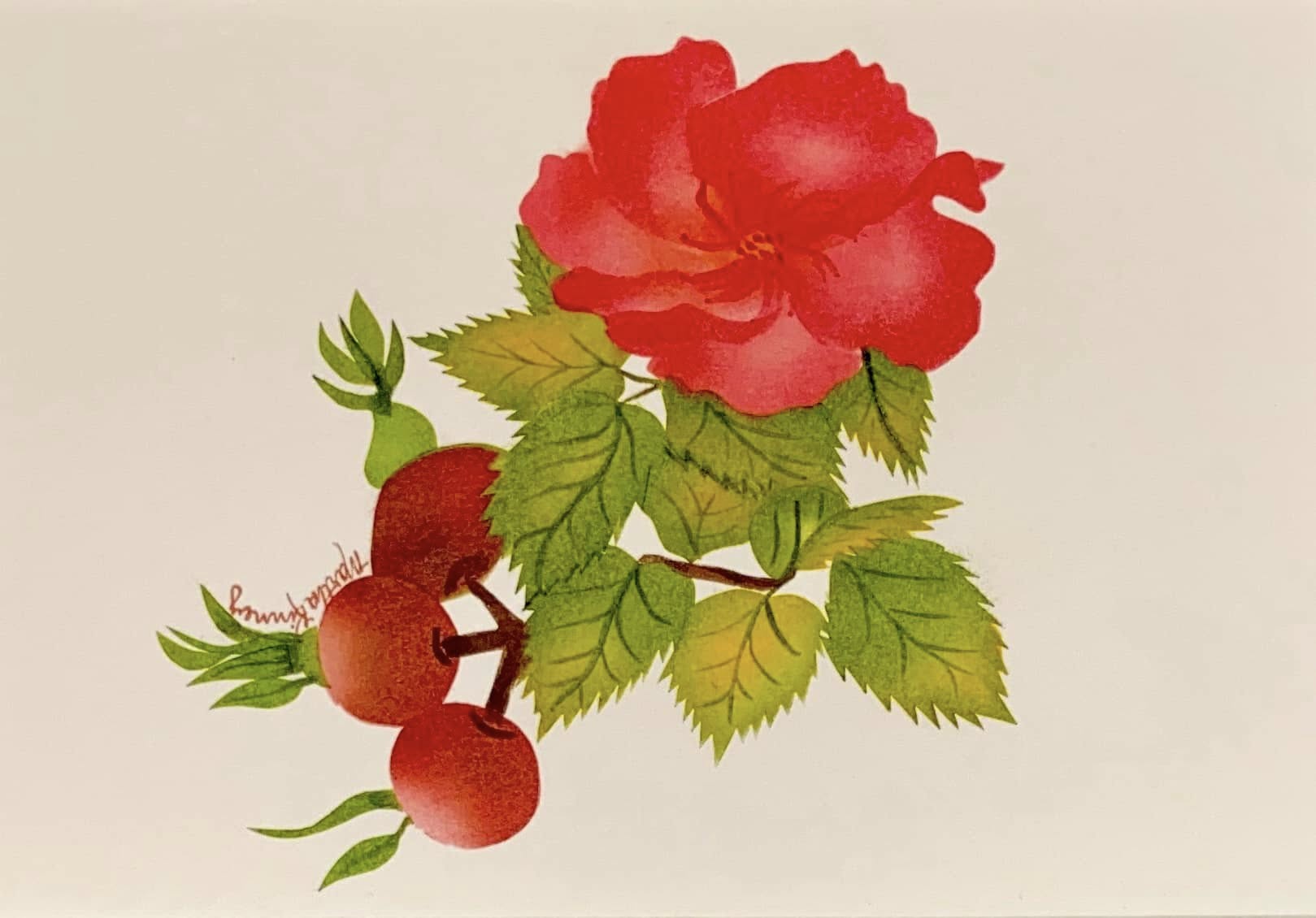 Beginning Theorem Painting Class